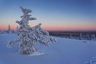 Fins Lapland par Luc Buthker Aperçu