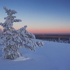 Fins Lapland van Luc Buthker