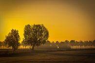 Landschaft am Morgen von Herwin van Rijn Miniaturansicht