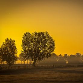 Landschaft am Morgen von Herwin van Rijn