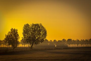 Paysage du matin sur Herwin van Rijn