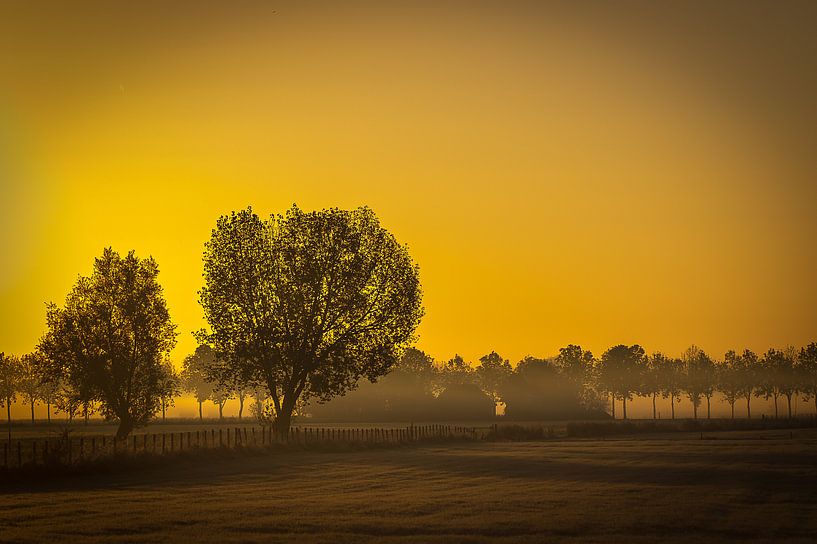 Ochtendlandschap van Herwin van Rijn