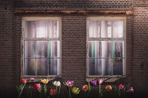 ENKA Ede fabriek Schoonheid