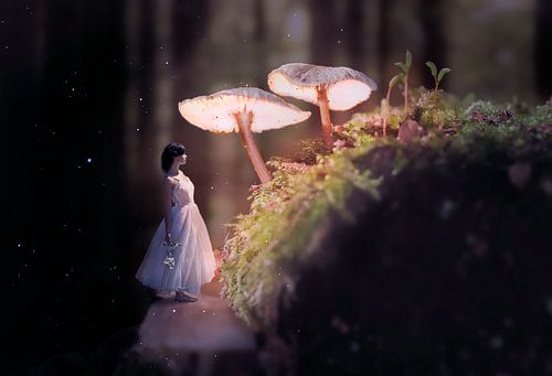 Magical fairytale forest