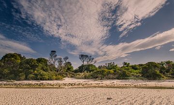 Marée basse sur Sven Wildschut