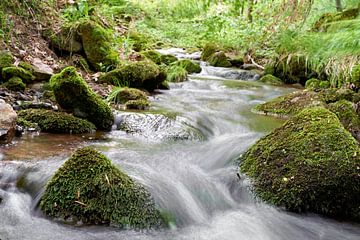 de rivier Schilfwasser bij Friedrichroda in Thüringen