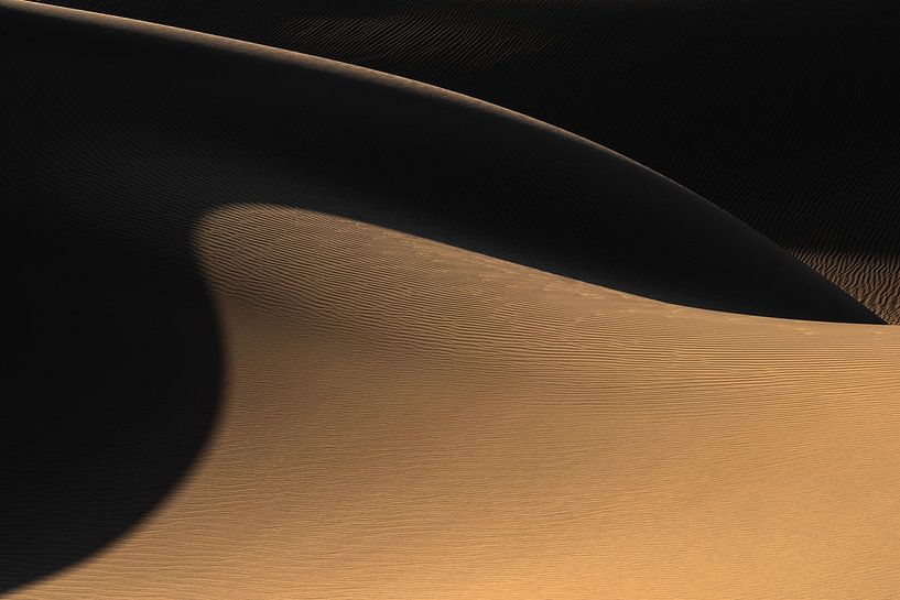 The desert II by Hamid Jamshidian