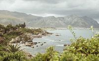 Natuur van Zuid-Afrika | Reisfotografie | West-Kaap, Afrika