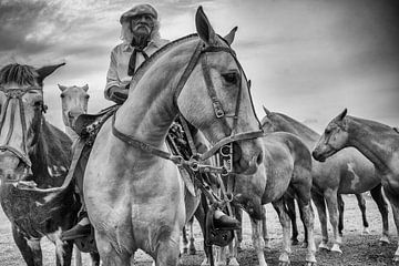 Gauchos et chevaux sur Eric Verdaasdonk
