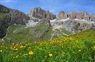Paysage de montagne et fleurs jaunes sur le Passo Pordoi Italie par My Footprints Aperçu