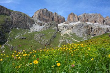 Berglandschap en gele bloemen op de Passo Pordoi Italië van My Footprints