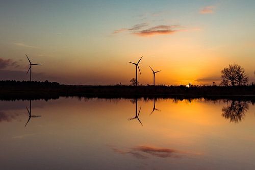 Huis ter Heide - Die Nuss