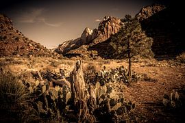 Western by Rolf Linnemeijer