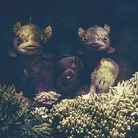 Deux poissons à la recherche de quoi ? sur Helga Blanke