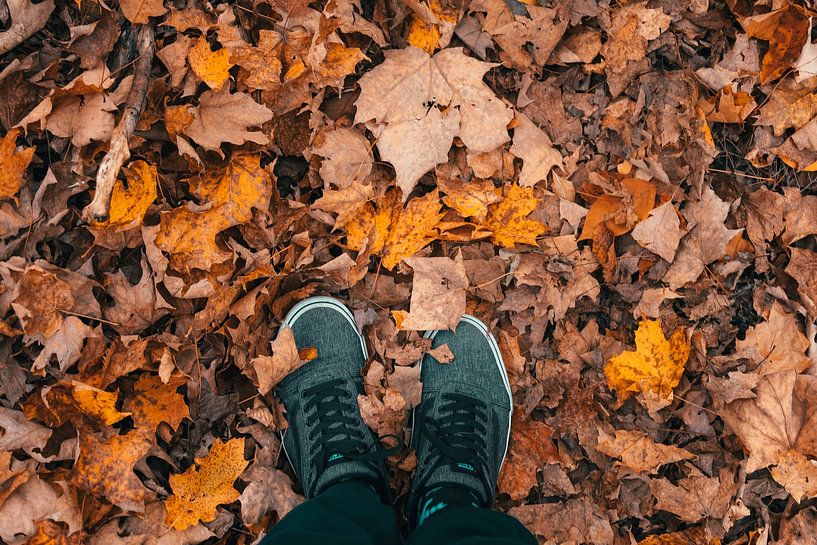 Chaussures en automne par Danny Brandsma