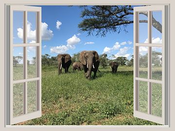 Elephant safari hotel by Co Seijn