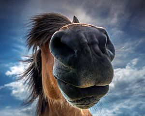 Große Nase