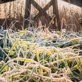 Winter sun through the bars of the bridge by kiekjes & kunst