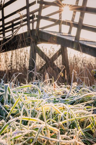 Soleil d'hiver à travers les barreaux du pont