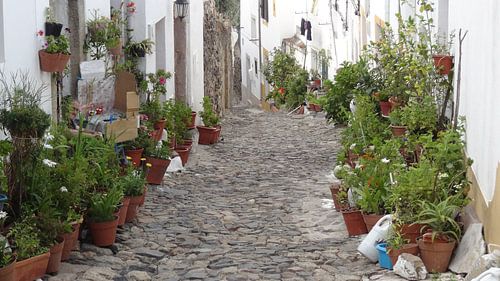 Ruelle de Castelo de Vide