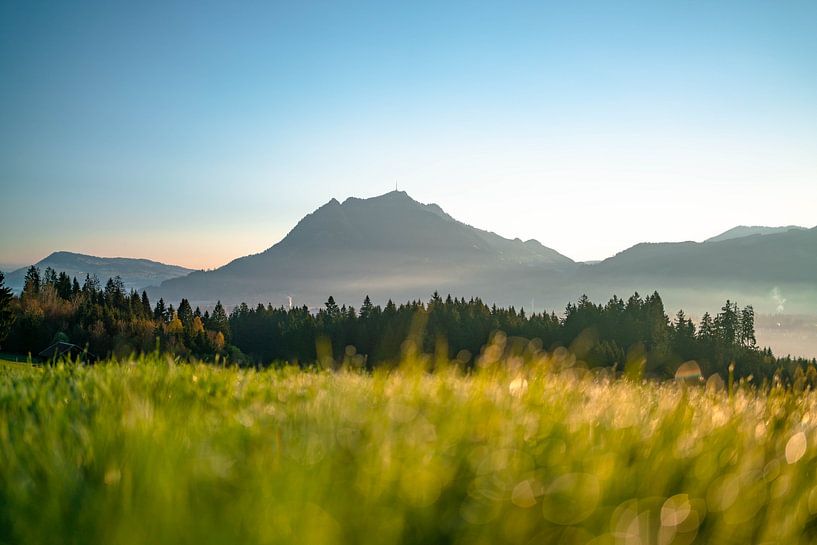 Ochtenddauw met uitzicht op de Grünten van Leo Schindzielorz