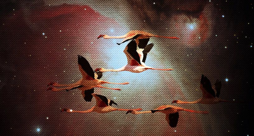 Flamingos in the evening sky mixed media by Werner Lehmann