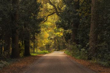 Le pont dans la lumière sur Jos Erkamp