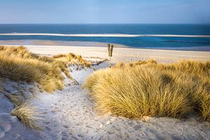 Dünenlandschaft im Naturschutzgebiet Ellenbogen List, Sylt