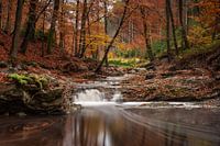 Herbstlandschaft