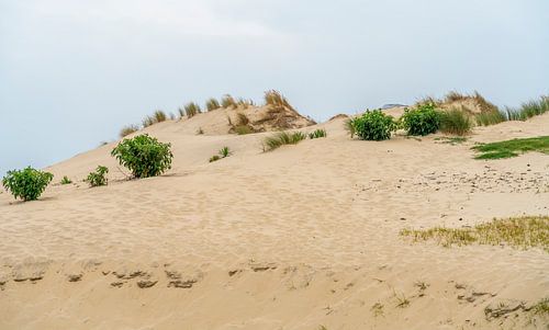 Hourtin-Plage en France sur Achim Prill