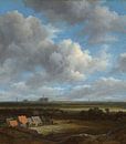 Vue de Haarlem depuis le nord-ouest, avec les gradins au premier plan, Jacob Isaacksz. van Ruisda par Des maîtres magistraux Aperçu