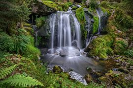 Zijdezacht water van Uwe Ulrich Grün