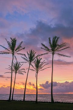 Zonsopkomst bij Kapaa Beach Park, Kauai, Hawaï van Henk Meijer Photography