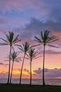 Sunrise at Kapaa Beach Park, Kauai, Hawaii by Henk Meijer Photography thumbnail