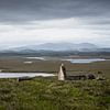 Ruine op de Hebriden van Floris van Woudenberg