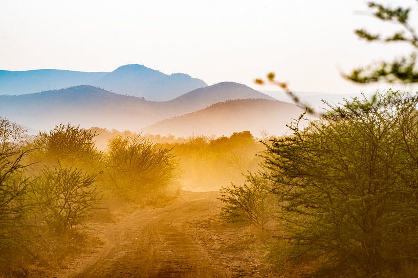 Paysage du soleil matinal par Joop Bruurs