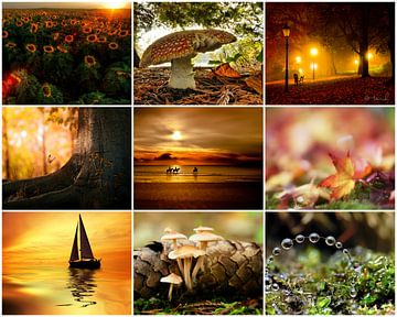 herfst collage 4