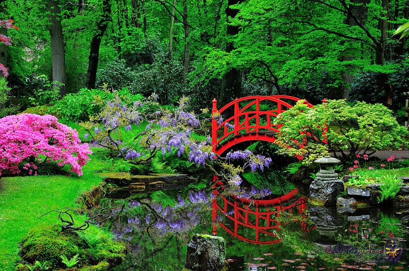 Japanse tuin  van Erik Reijnders