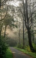 Die Natur als Musik