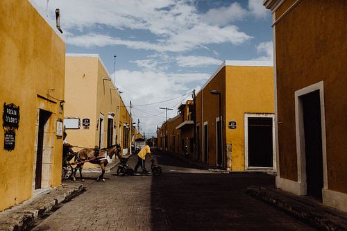 Paard en wagen in de gele stad Izamal