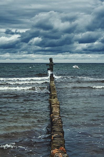 Kribben die in zee steken. Genomen in Zingst, aan de Darß. Het perspectief is gericht op de horizon van Martin Köbsch