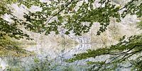 Obersee IV