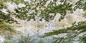 Obersee IV