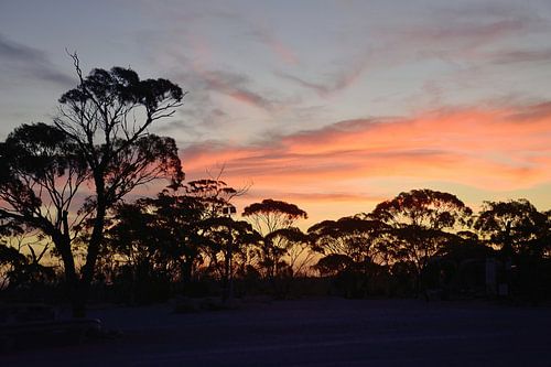 Een Nullarbor zonsondergang in Balladonia