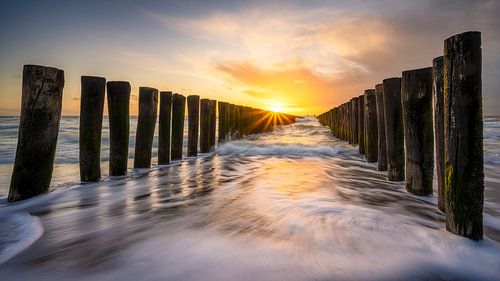 Familiar (breakwater beach Dishoek)