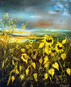 End of summer for sunflowers