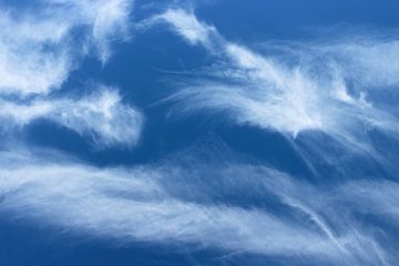 Wolken van Dianthe Forkink