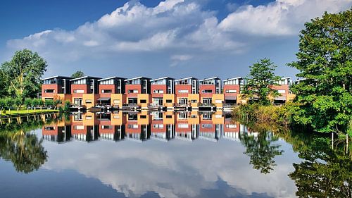 Natuurlijk gespiegelde huizen