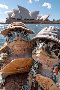 Schildkröten on Tour in Sydney