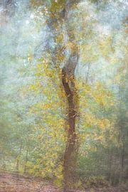 Dancing Autumn Tree by natascha verbij